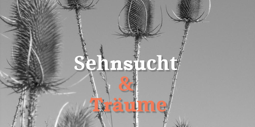 Sehnsucht  &  Träume